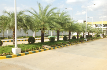 landscape in chennai,chennai landscape architects, chennai gardening, chennai swimming pool maintenance, chennai swimming pool designers, chennai terrace gardens, 